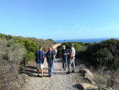 Giglio: gestione mufloni, ordinanza del Parco, interdette alcune aree dell'Isola