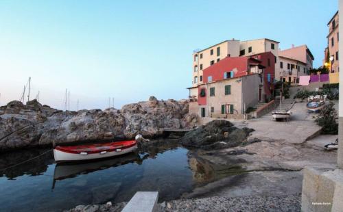 Maurizio Guccione: un'Isola che ha smarrito il senso del limite