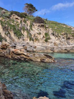 La Foto del Giorno (29 feb.)