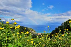 A Sciambere del tempo che fa (16 goccioloni e 4 scorreggine di toni)
