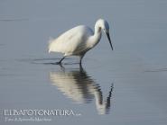 La Foto del Giorno (4 mar.)