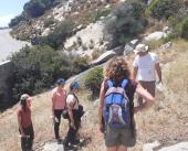 Seedblitz 2024: ricerca sulla propagazione delle piante nel paesaggio elbano