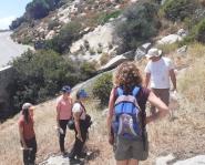 Seedblitz 2024: ricerca sulla propagazione delle piante nel paesaggio elbano