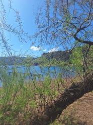 La Foto del Giorno (11 apr.)