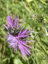 La Foto del Giorno (22 mag.)