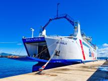 Blu Navy risponde in merito  al trasporto dei cani