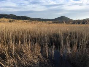 In merito al Piano strutturale del Comune di Portoferraio