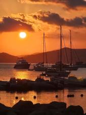 La Foto del Giorno (26 ago.)