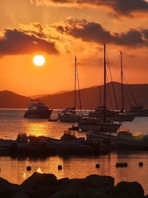 La Foto del Giorno (26 ago.)