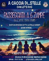Passeggiata sotto le stelle con Let's Dog