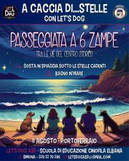 Passeggiata sotto le stelle con Let's Dog