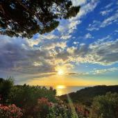 La Foto del Giorno (29 lug.)