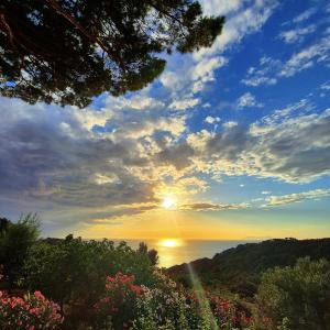 La Foto del Giorno (29 lug.)