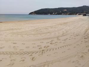 Seconda giornata di volontariato per la pulizia della spiaggia di Procchio