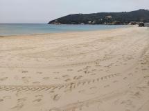 Seconda giornata di volontariato per la pulizia della spiaggia di Procchio