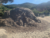 Fotonotizia: accumuli di Posidonia sulla parte libera della spiaggia di Spartaia