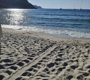 A Fetovaia il primo nido di tartarughe marine all’Elba del 2026