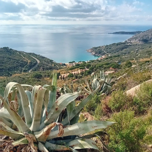 La Foto del Giorno (2 feb.)