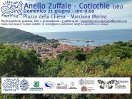 Ricominciano i trekking delle farfalle: domenica 21 giugno il circuito dello Zuffale – Coticchie