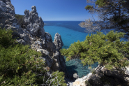 Al Giglio il bracconaggio dilaga anche nell'area Parco