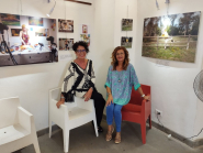 Carosello 50 anni dopo in mostra alla Gran Guardia