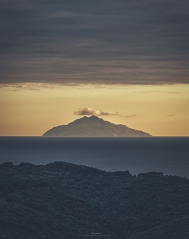 La Foto del Giorno (10 apr.)