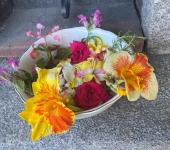 Acqua di San Giovanni una tradizione che resiste al tempo