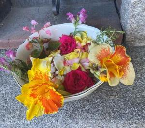 Acqua di San Giovanni una tradizione che resiste al tempo