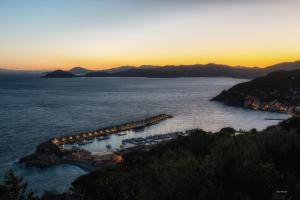 La Foto del Giorno (26 dic.)