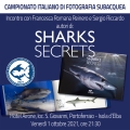 "Shark Secret" un libro per conoscere e ammirare uno tra i più grandi predatori dei mari