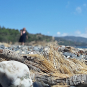 La Foto del Giorno (11 lug.)