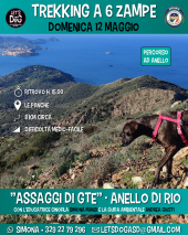 "Trekking a sei zampe" con Let's Dog, domenica 12 maggio