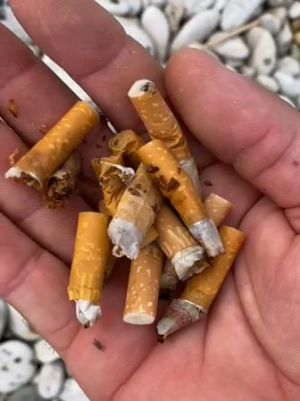 Comportamenti incivili in spiaggia - video