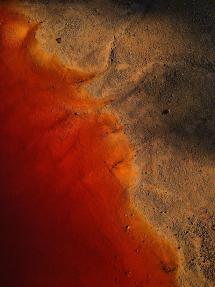 "The Slow Rhythm of Beauty", il concorso che valorizza l'Elba attraverso la fotografia