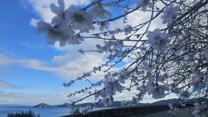 La Foto del Giorno (15 feb.)