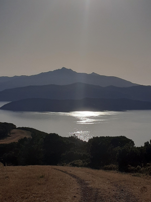 La Foto del Giorno (30 lug.)