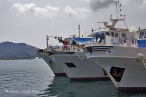 Pesca locale, turismo e ambiente: marchio di qualità e indennizzi