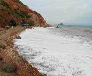 Topinetti più di un anno dopo: la situazione è peggiorata