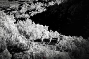 La Foto del Giorno (18 dic.)