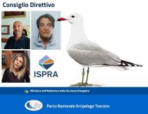 I curricola del direttivo del Parco e l’Associazione Mondiale Animalista dell’Italia Occidentale (!)