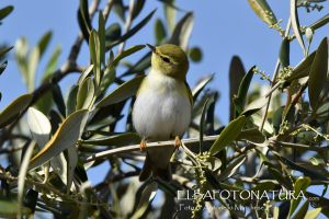 La Foto del Giorno (22 apr.)