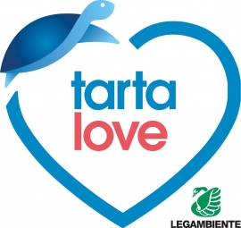 Una vita da tartaruga nei nostri mari, tra plastica e catture accidentali