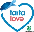 Una vita da tartaruga nei nostri mari, tra plastica e catture accidentali