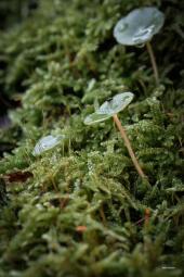 La Foto del Giorno (18 nov.)