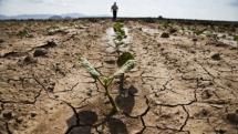 Il clima sta già cambiando la Toscana. E noi continuiamo a discutere dei sintomi