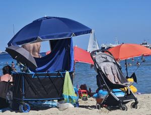 Spiagge affollate e regole ignorate: la situazione a Marina di Campo