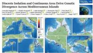 Ogni stretto marino può creare un'isola delle farfalle