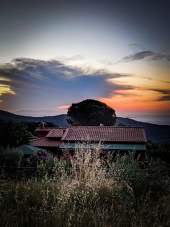 La Foto del Giorno (12 giu.)