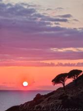 La Foto del Giorno (2 ago.)