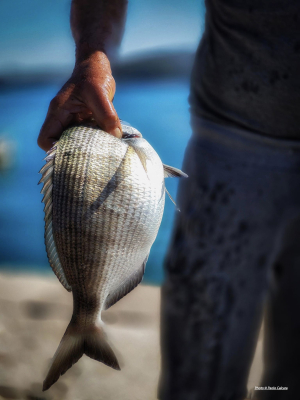 La Foto del Giorno (16 apr.)